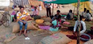 The foreigners gave them 'base' basis | परक्या मिरचीनेच दिला ‘त्यांना’ आधार