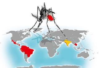 Zika! | झिका!