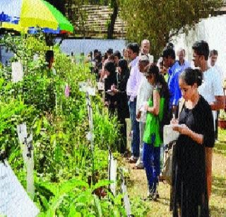 Mumbai's crowd to see the corporation's flower show | महापालिकेचे पुष्पप्रदर्शन पाहण्यास मुंबईकरांची गर्दी