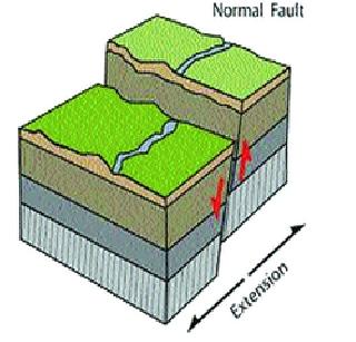 Now the building that survives in an earthquake | आता भूकंपातही टिकणार इमारत