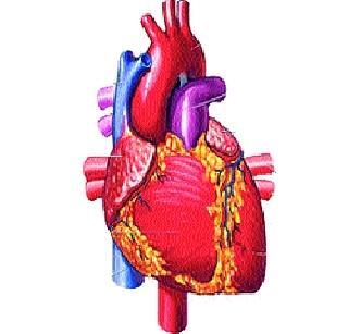 An increased risk of a heart attack | ऐन तारुण्यात वाढतोय हृदयविकाराचा धोका