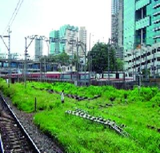 Pre-monsoon season in Parel Terminus | परळ टर्मिनसला पावसाळ्यापूर्वीचा मुहूर्त