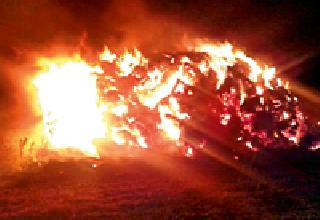 Two lakh burns were burnt | दोन लाखांचा हरभरा जाळला Two lakh burns were burnt | दोन लाखांचा हरभरा जाळला