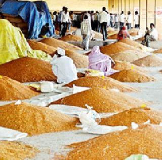 The rate of price decreased by the farmers | तुरीचे दर घसरले शेतकरी हादरला The rate of price decreased by the farmers | तुरीचे दर घसरले शेतकरी हादरला