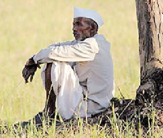 Waiting for farmers to revise the National Crop Insurance | शेतकऱ्यांना सुधारित राष्ट्रीय पीक विम्याची प्रतीक्षा