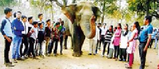 Antisemitism of the students of Nagzira Tiger Reserve | विद्यार्थ्यांची नागझिरा व्याघ्र प्रकल्पात निसर्गभ्रमंती