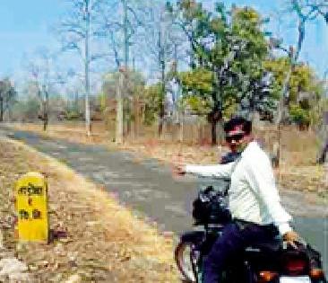 Contractor's Pride in Tadoba Wildlife Sanctuary | ताडोबा अभयारण्यात ठेकेदाराचा प्रताप