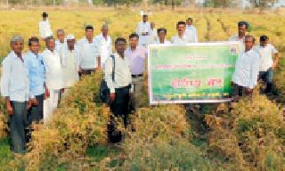 Regional Visit of Farmers | शेतकऱ्यांची क्षेत्रीय भेट