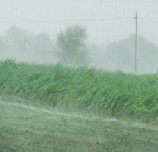 Hail in the east of Purandar | पुरंदरच्या पूर्व भागात गारपीट