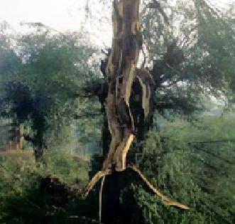 Umbarkar's family came to 'God bless him who suffers' affair | उंबरकर कुटुंबीयांना आला ‘देव तारी त्याला कोण मारी’चा प्रत्यय Umbarkar's family came to 'God bless him who suffers' affair | उंबरकर कुटुंबीयांना आला ‘देव तारी त्याला कोण मारी’चा प्रत्यय