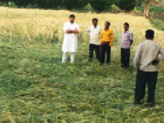 Hail in Katol taluka | काटोल तालुक्यात गारपीट