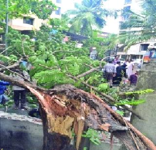 'Shocking' shock! | ‘अवकाळी’चा फटका!