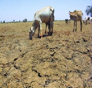 Ministers of state come to power, see drought | मंत्र्यांचा ताफा आला, दुष्काळ बघून गेला...