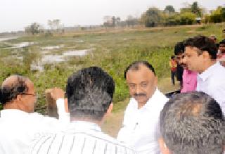 Farm for cash crops | नगदी पिकांची शेती करा Farm for cash crops | नगदी पिकांची शेती करा