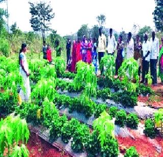 Rural women participate in the training | प्रशिक्षणात ग्रामीण महिलांचा सहभाग Rural women participate in the training | प्रशिक्षणात ग्रामीण महिलांचा सहभाग