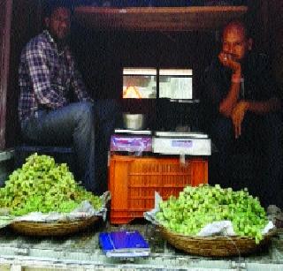 400 kg of grapes sold daily | दररोज ४०० किलो द्राक्षांची होतेय विक्री 400 kg of grapes sold daily | दररोज ४०० किलो द्राक्षांची होतेय विक्री