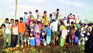 Low rainfall results: Hundreds of bollworms; Tackling of agriculture, water logging for water | कमी पर्जन्यमानाचा परिणाम : शेकडो कूपनलिका आटल्या; शेतीवर सावट, पाण्यासाठी जनावरांची तडफड