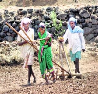 Three-tier of dry agricultural farming campaign | कोरडवाहू शेती अभियानाचे तीन तेरा