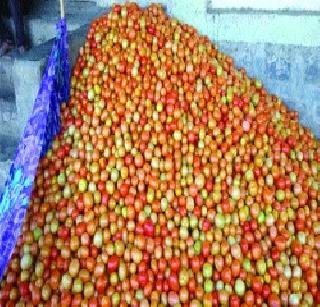 Record crop of tomatoes in Devgarh | देवघरमध्ये टोमॅटोचे घेतले विक्रमी पीक