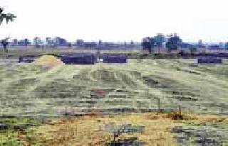 Bulldozers on farmers' land | शेतकऱ्यांच्या जमिनीवर बुलडोजर