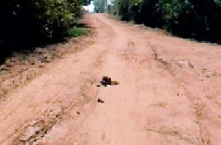 Pantana road made by machinery by showing screws to the laborers | मजुरांना ठेंगा दाखवून यंत्राने तयार केला पांदण रस्ता