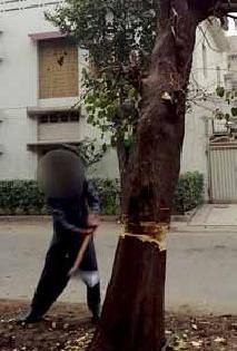 The need to rejuvenate the district's rich forests | जिल्ह्याचा समृद्ध वनवारसा जपण्याची गरज The need to rejuvenate the district's rich forests | जिल्ह्याचा समृद्ध वनवारसा जपण्याची गरज