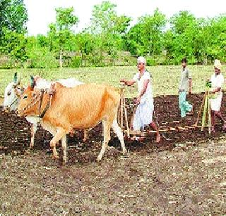 Maharashtra's decline in agriculture in 10 years | १० वर्षांत शेती क्षेत्रात महाराष्ट्राची घसरण