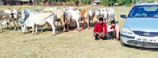 Lives of 14 animals | १४ जनावरांना जीवनदान Lives of 14 animals | १४ जनावरांना जीवनदान