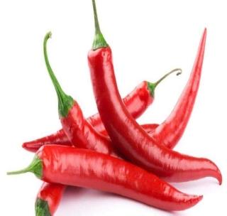 Churte peperila dead! | चुरड्याने मिरचीला मरगळ! Churte peperila dead! | चुरड्याने मिरचीला मरगळ!