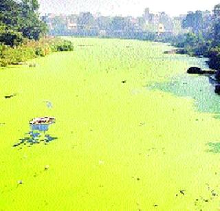 Purification of the river of Panvel! | पनवेलच्या नदीचे शुद्धीकरण !