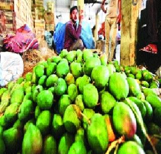 Attention to the mangoes in the mango market | आंबा मार्केटमधील मुहूर्ताकडे लक्ष