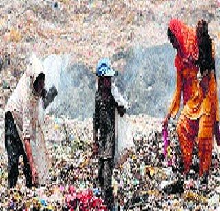 Dumping at forest area | वन विभागाच्या जागेवर डम्पिंग