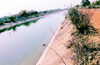 3.99 crores fund for the left canal of 'Tiger' | ‘बाघ’च्या डाव्या कालव्यासाठी ३.९९ कोटी रुपयांचा निधी