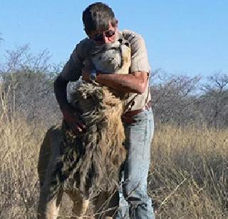 Lion and its Unique Friendship | सिंह आणि त्याची अनोखी मैत्री