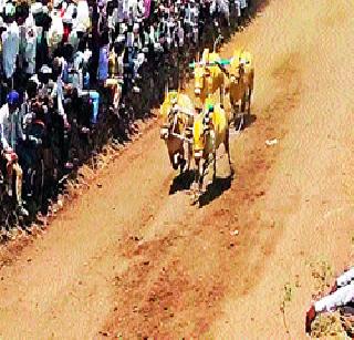 Ballgad race despite the ban | बंदी असूनही बैलगाडा शर्यत