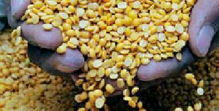 Prices of pulses slumped | डाळींचे भाव कडाडले