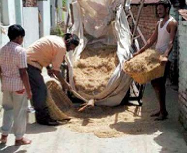 Gopalak, farmers' wand for fodder | चाऱ्यासाठी गोपालक, शेतकऱ्यांची भटकंती Gopalak, farmers' wand for fodder | चाऱ्यासाठी गोपालक, शेतकऱ्यांची भटकंती