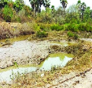 Opposition to Varor Shrimp Project | वरोरच्या कोळंबी प्रकल्पाला विरोध Opposition to Varor Shrimp Project | वरोरच्या कोळंबी प्रकल्पाला विरोध