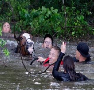 Historical floods in Houston, Historical Rainfall from Disaster Management Department | ह्युस्टनमध्ये महाभयंकर पूर, आपत्ती निवारण विभागाकडून ऐतिहासिक पावसाची नोंद