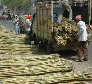 Assistance to sugar factories in drought-hit Marathwada | दुष्काळग्रस्त मराठवाडयाला साखर कारखान्यांचं सहाय्य