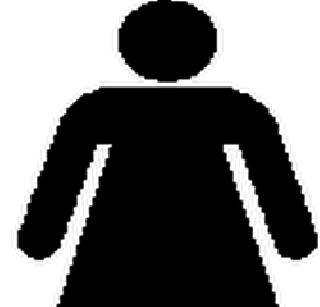 Women are also victims of suasat veggie | महिलाही ठरताहेत सुसाट वेगाच्या बळी Women are also victims of suasat veggie | महिलाही ठरताहेत सुसाट वेगाच्या बळी