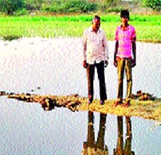 Due to the Wagle Lake, water dispersed | वाघळ तलाव भरल्याने पाणीप्रश्न सुटला