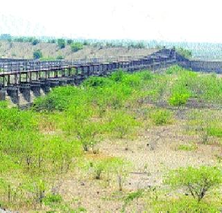 Only the living water reservoir in 'Teyar'! | ‘तेरणा’त उरला फक्त मृत जलसाठा!