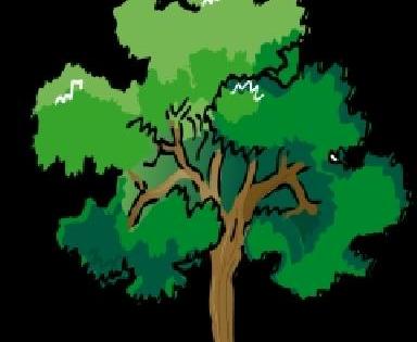 The tree in the underworld ... | आरेतील वृक्ष मृत्यूपंथाला...