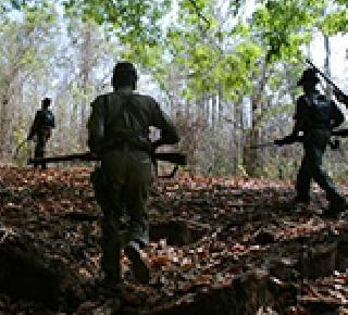 Naxalites kill two | नक्षलवाद्यांकडून दोघांची हत्या