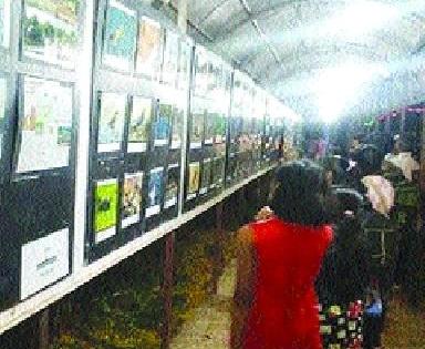 Photo Exhibition Bay Safari | छायाचित्र प्रदर्शनातून खाडी सफारी