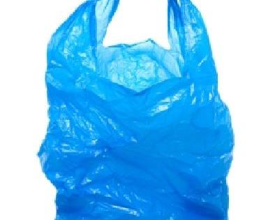 Re-ban on plastic bags | प्लास्टिक पिशव्यांवर पुन्हा बंदी