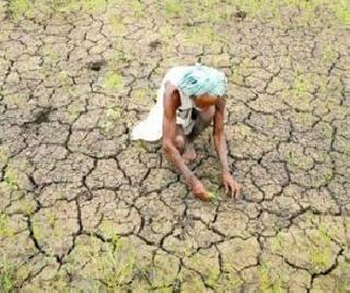 65 farmers commit suicide in Marathwada 3 weeks | मराठवाड्यात 3 आठवड्यांत 65 शेतक-यांची आत्महत्या