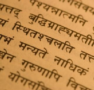 The spread of Sanskrit through social media | सोशल मीडियातून संस्कृतचा प्रसार