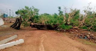 Hurricane Rotundroop | चक्रीवादळाचे रौद्ररूप Hurricane Rotundroop | चक्रीवादळाचे रौद्ररूप